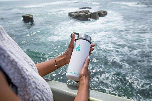 HYDRO CELL Stainless Steel Insulated Water Bottle with Straw - for Cold & Hot Drinks - Metal Vacuum Flask with Screw Cap and Modern Leakproof Sport Thermos for Kids & Adults (White 18oz) - TECH W/ TERRY